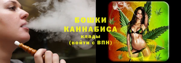 крисы Бугульма